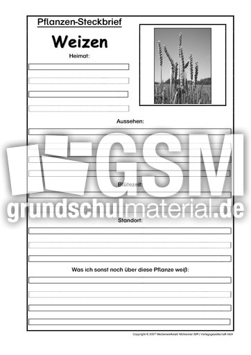 Pflanzensteckbrief-Weizen-SW.pdf
